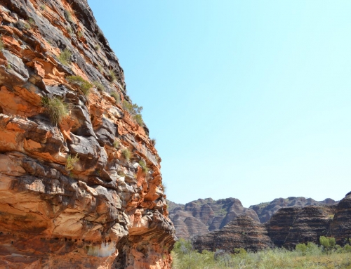 bungle bungle range