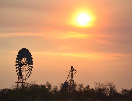 windmill kimberley region