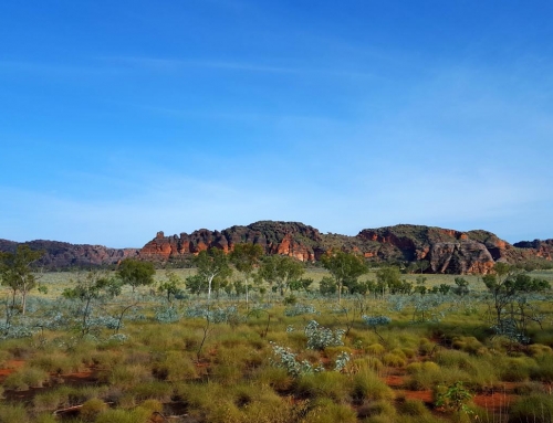 bungle bungles kimberley