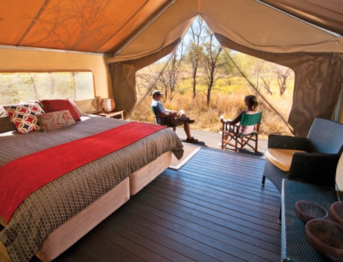 APT Wilderness Camps