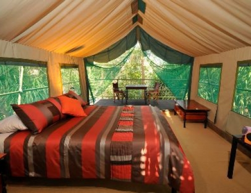Morningon Wilderness Camp – 2