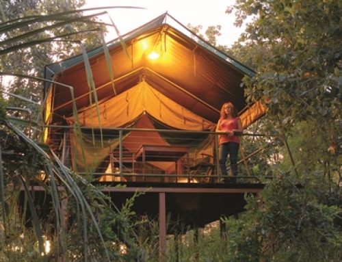 Mornington Wilderness Camp – 1