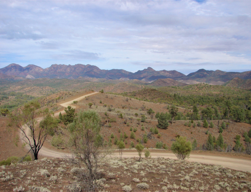 flinders ranges