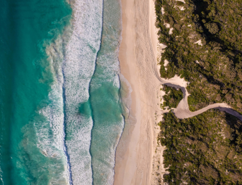 Hamelin Bay, near Augusta