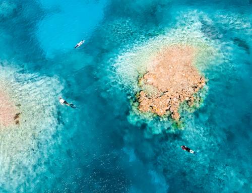 Rowley Shoals Marine Park, near Broome