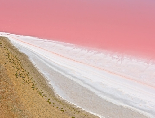 Kati Thanda-Lake Eyre National Park