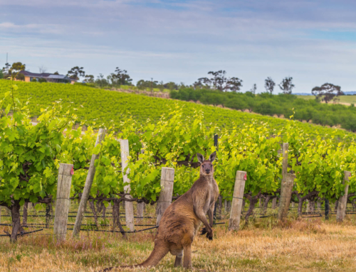McLaren Vale