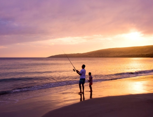 Antechamber Bay sunset