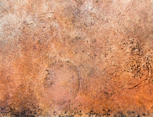 Flinders Ranges