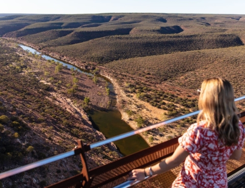 Kalbarri Skywalk, Kalbarri National Park 2